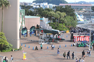 20190511a.JPG