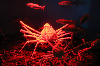 20190511u.JPG