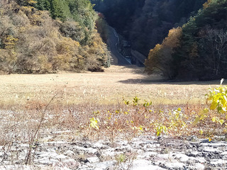 20201124c.jpg
