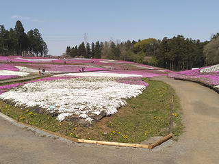 20210409e.jpg